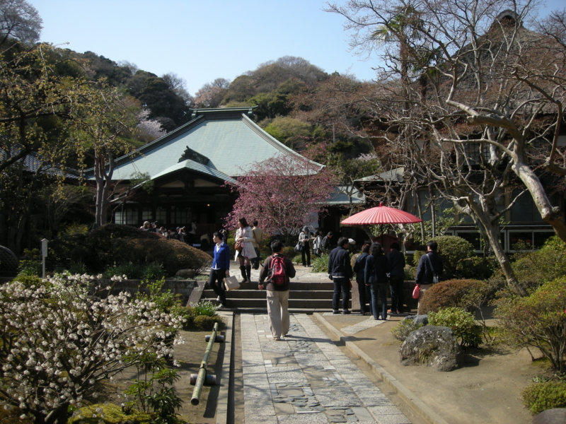 f:id:saurel:20100403141744j:image:w400 f:id:saurel:20100403141744j:image:w400