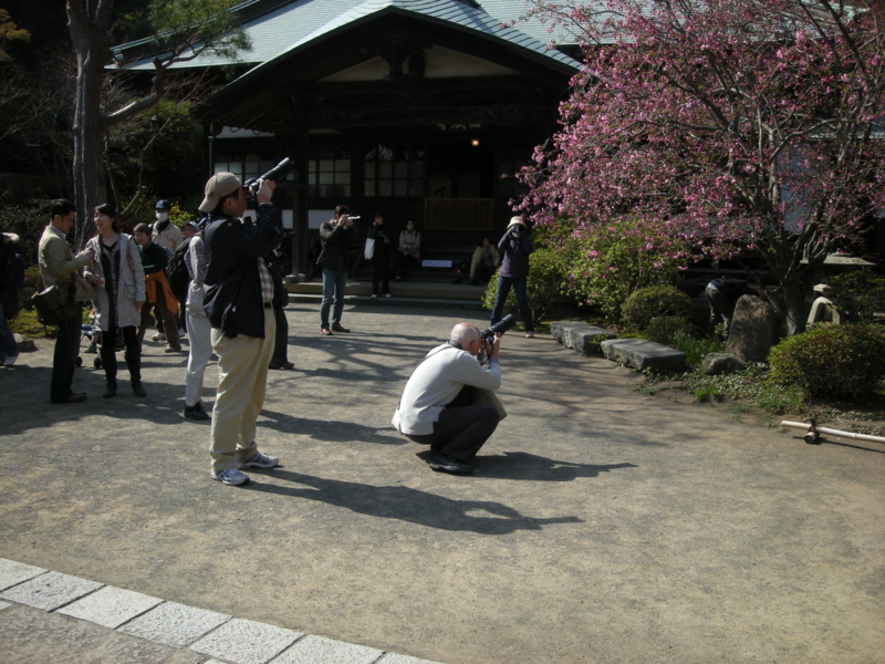 f:id:saurel:20100403141837j:image:w400 f:id:saurel:20100403141837j:image:w400