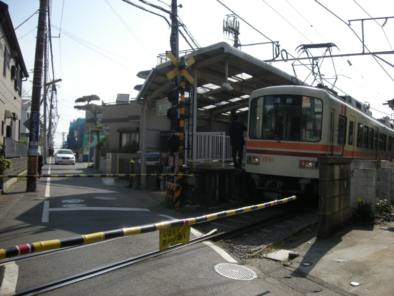 f:id:saurel:20100403145154j:image:w400 f:id:saurel:20100403145154j:image:w400