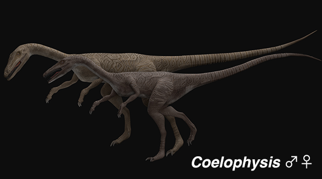 f:id:saurus502:20200328093005j:plain f:id:saurus502:20200328093005j:plain