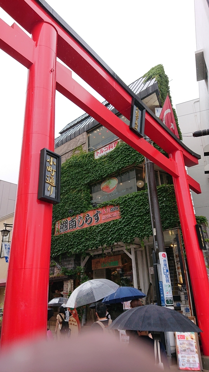 f:id:savannabatake13:20190626162520j:plain f:id:savannabatake13:20190626162520j:plain