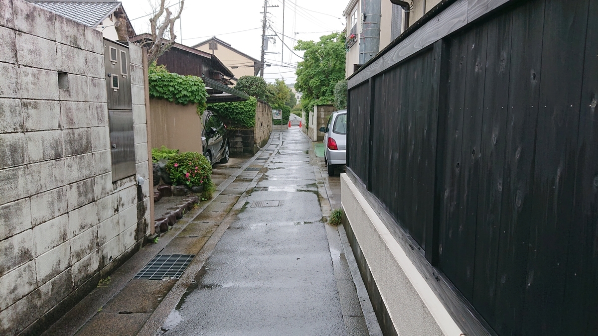 f:id:savannabatake13:20190626162951j:plain f:id:savannabatake13:20190626162951j:plain