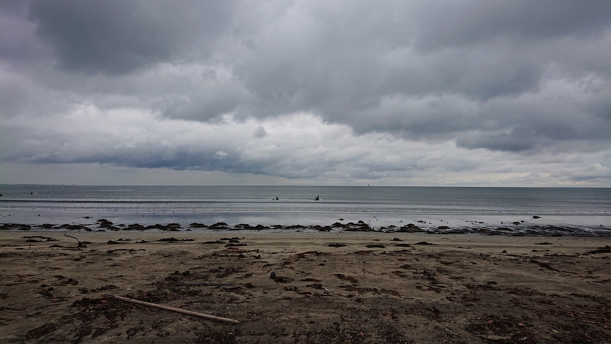 f:id:savannabatake13:20190626201056j:plain f:id:savannabatake13:20190626201056j:plain