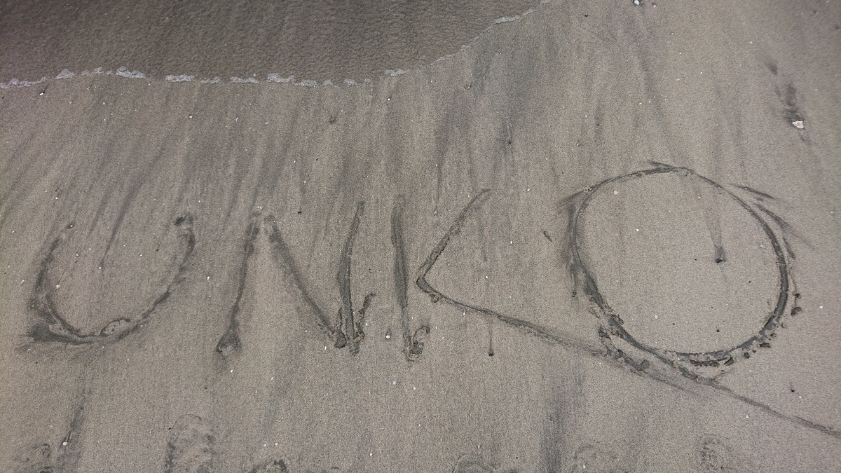f:id:savannabatake13:20190626202444j:plain f:id:savannabatake13:20190626202444j:plain