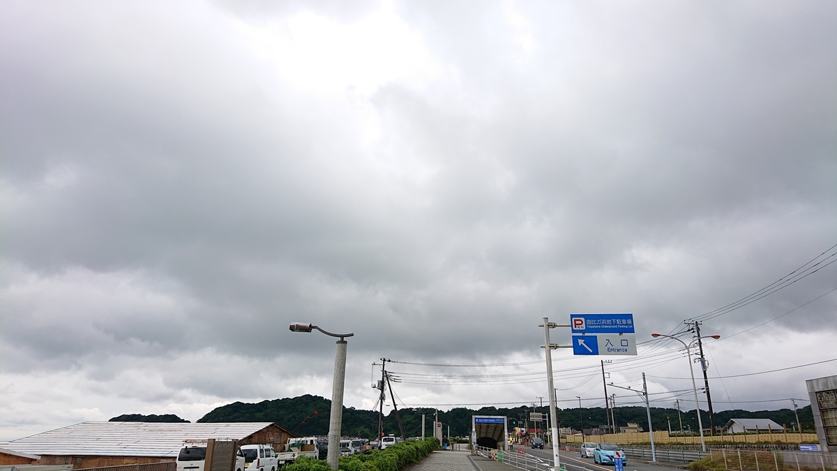 f:id:savannabatake13:20190626202544j:plain f:id:savannabatake13:20190626202544j:plain