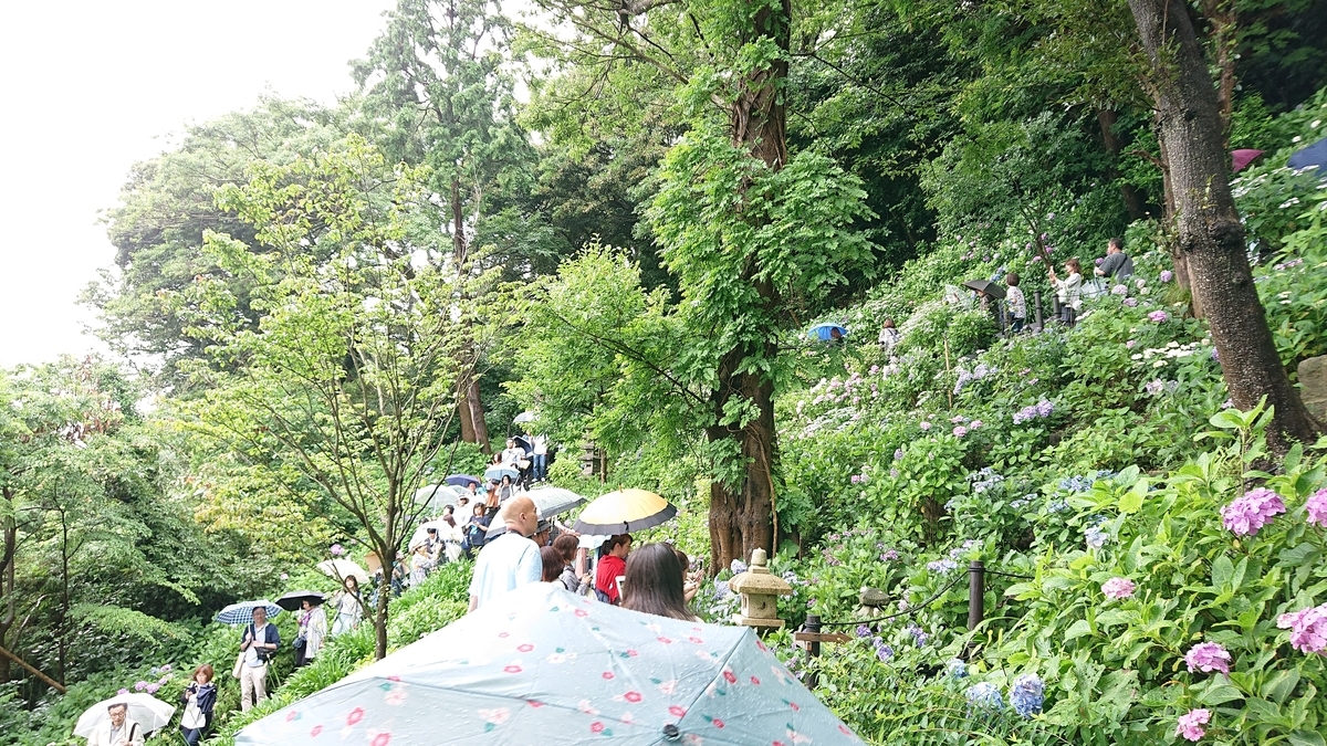 f:id:savannabatake13:20190626234033j:plain f:id:savannabatake13:20190626234033j:plain