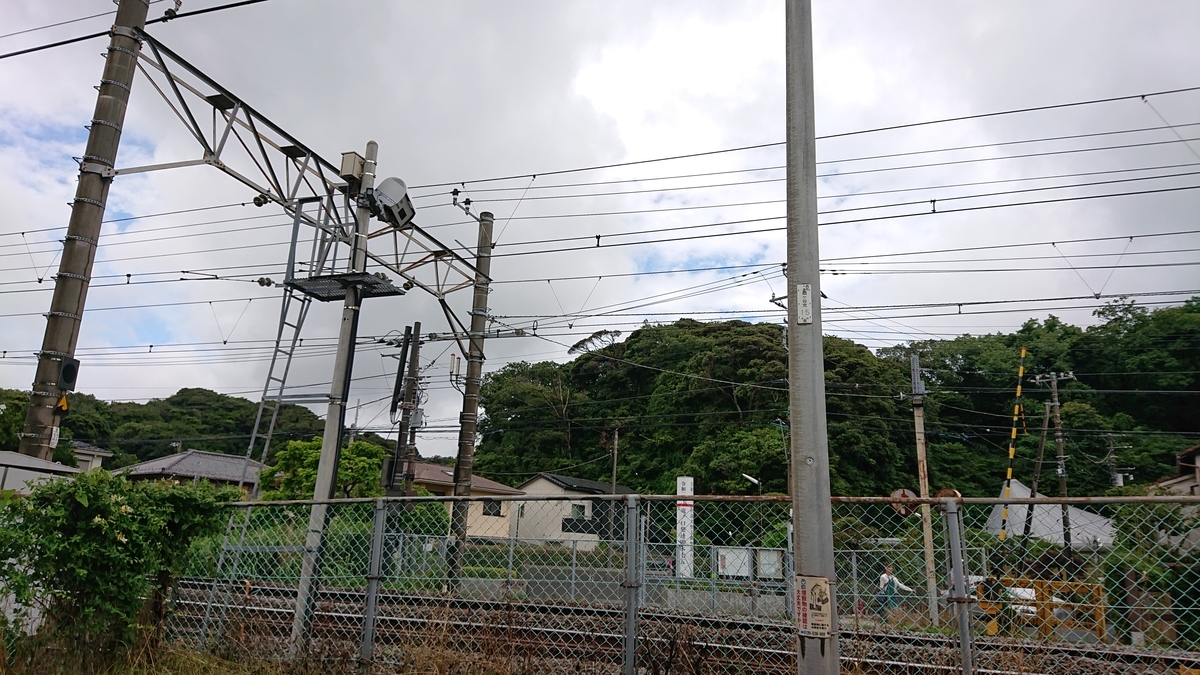 f:id:savannabatake13:20190627002859j:plain f:id:savannabatake13:20190627002859j:plain