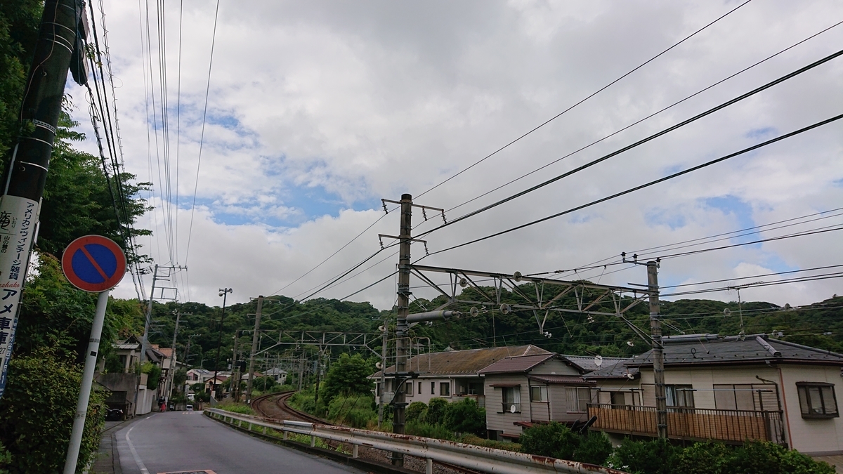 f:id:savannabatake13:20190627002915j:plain f:id:savannabatake13:20190627002915j:plain