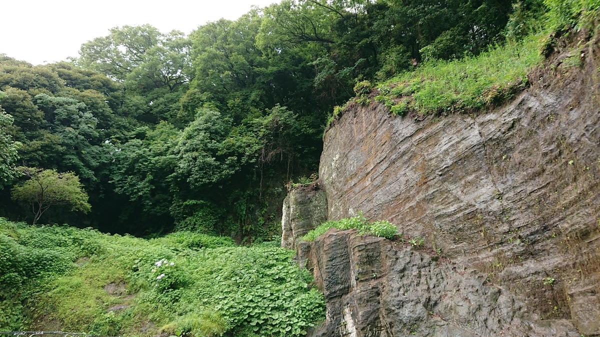 f:id:savannabatake13:20190627004740j:plain f:id:savannabatake13:20190627004740j:plain