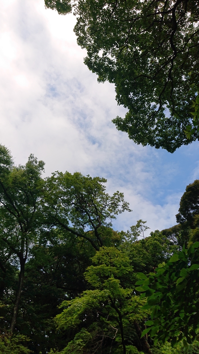 f:id:savannabatake13:20190627010511j:plain f:id:savannabatake13:20190627010511j:plain