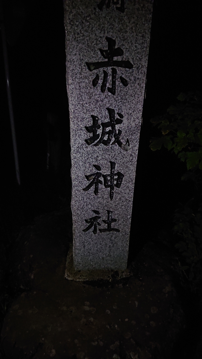f:id:savannabatake13:20190628013923j:plain f:id:savannabatake13:20190628013923j:plain