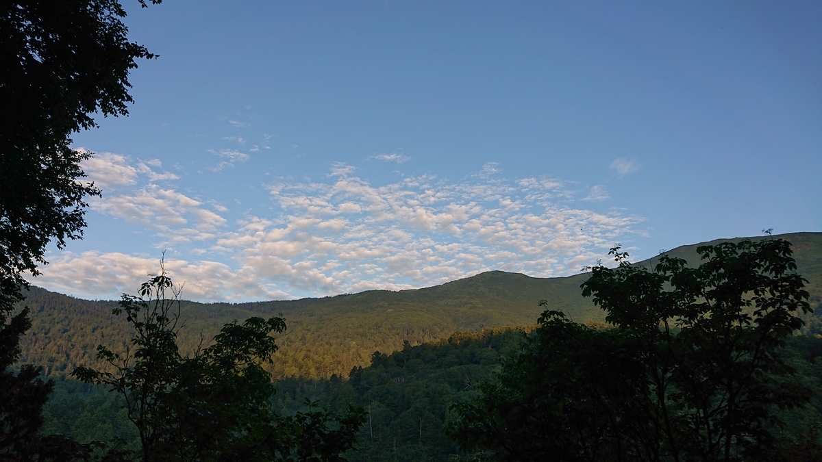 f:id:savannabatake13:20190810164721j:plain f:id:savannabatake13:20190810164721j:plain