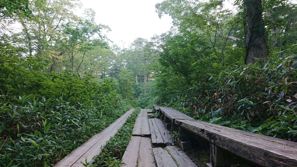 f:id:savannabatake13:20190810165106j:plain f:id:savannabatake13:20190810165106j:plain