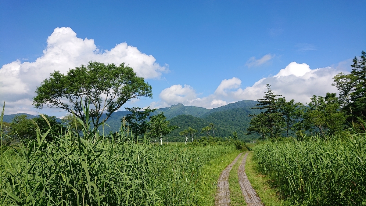 f:id:savannabatake13:20190811013720j:plain f:id:savannabatake13:20190811013720j:plain