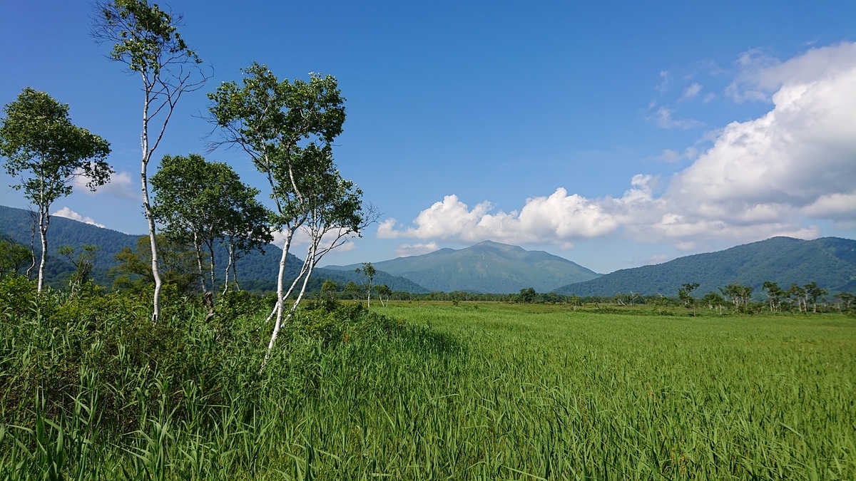 f:id:savannabatake13:20190811013837j:plain f:id:savannabatake13:20190811013837j:plain