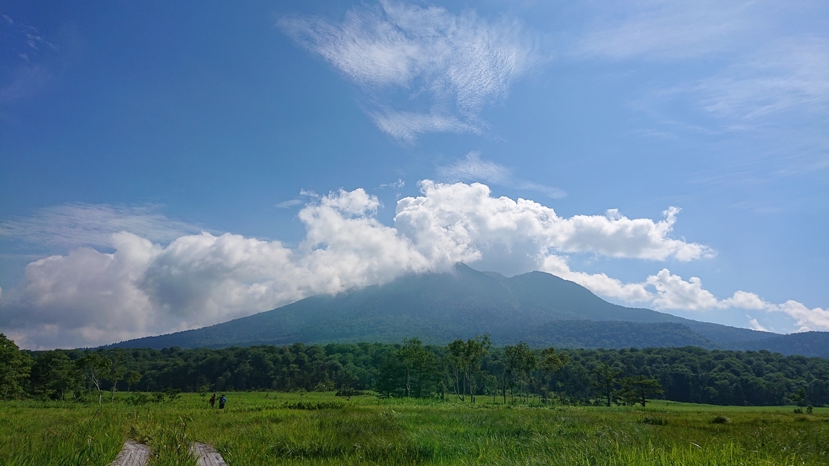 f:id:savannabatake13:20190811014714j:plain f:id:savannabatake13:20190811014714j:plain
