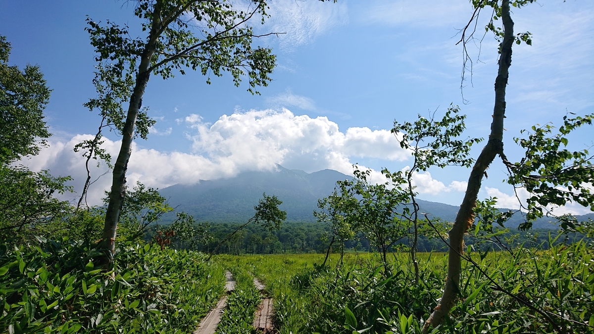 f:id:savannabatake13:20190811015138j:plain f:id:savannabatake13:20190811015138j:plain