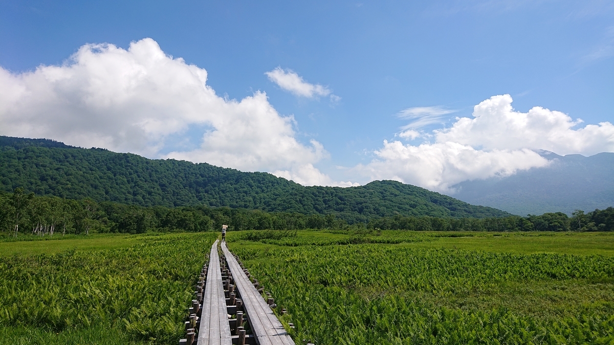 f:id:savannabatake13:20190811022438j:plain f:id:savannabatake13:20190811022438j:plain