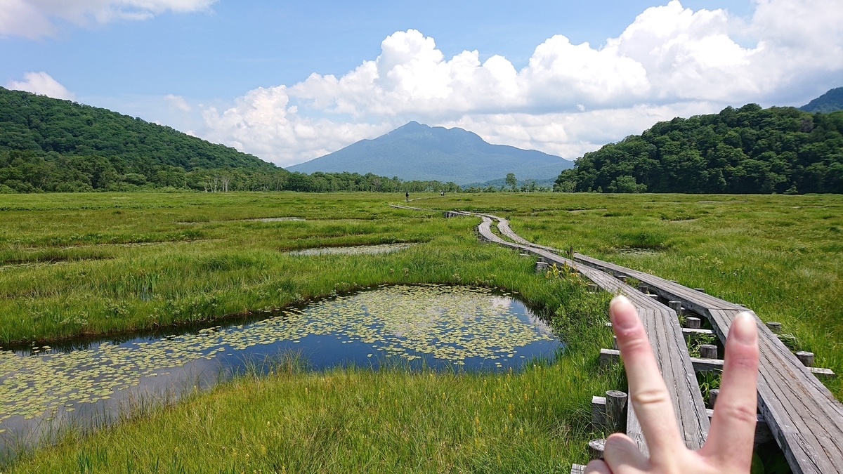 f:id:savannabatake13:20190811023607j:plain f:id:savannabatake13:20190811023607j:plain