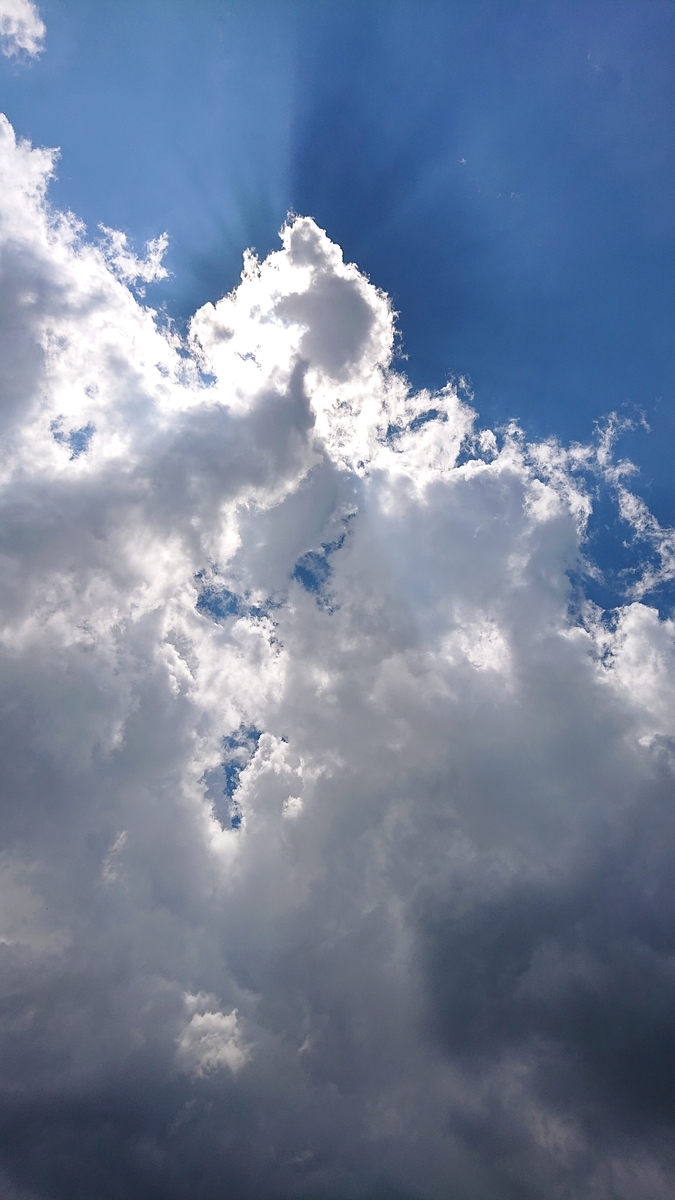 f:id:savannabatake13:20190811023722j:plain f:id:savannabatake13:20190811023722j:plain