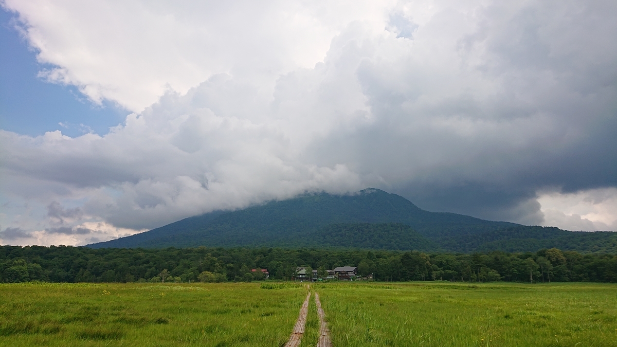 f:id:savannabatake13:20190811025155j:plain f:id:savannabatake13:20190811025155j:plain