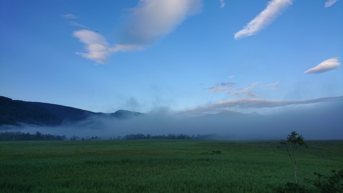 f:id:savannabatake13:20190813024146j:plain f:id:savannabatake13:20190813024146j:plain