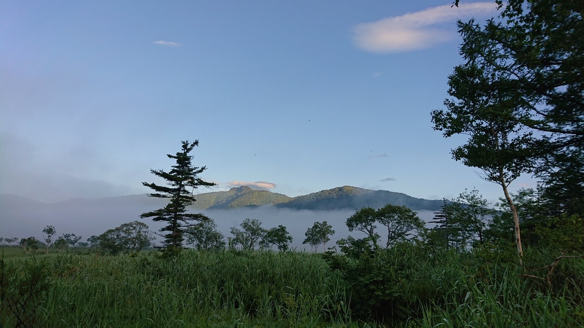f:id:savannabatake13:20190813024509j:plain f:id:savannabatake13:20190813024509j:plain