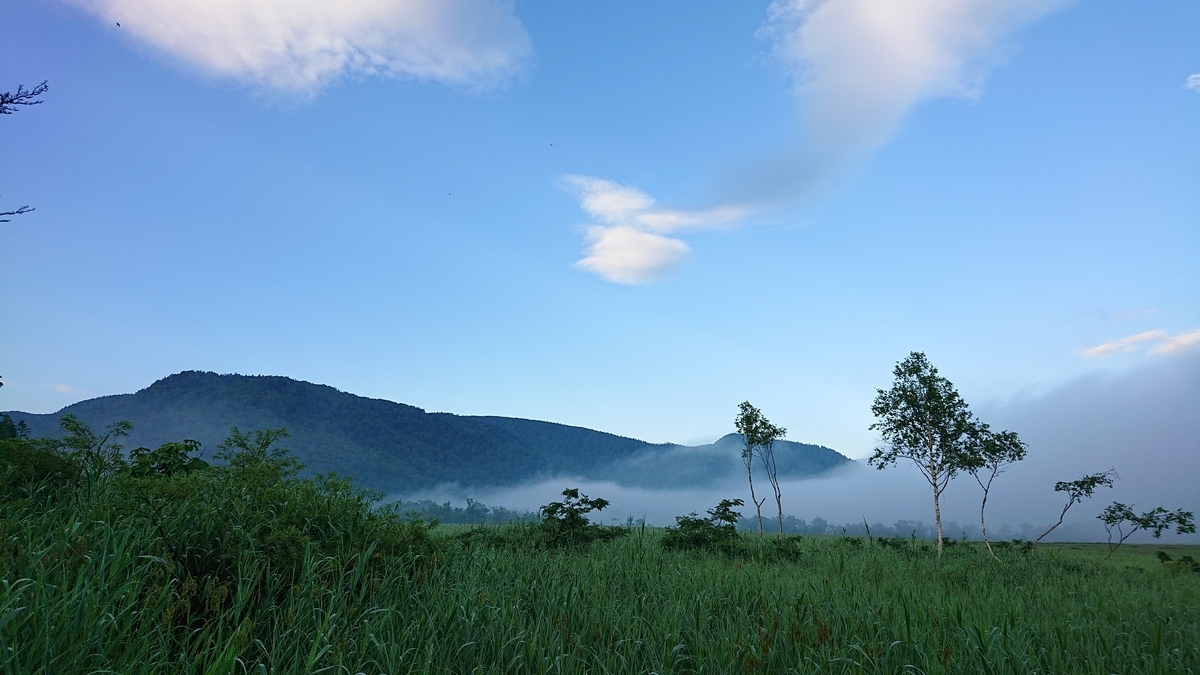 f:id:savannabatake13:20190813024518j:plain f:id:savannabatake13:20190813024518j:plain