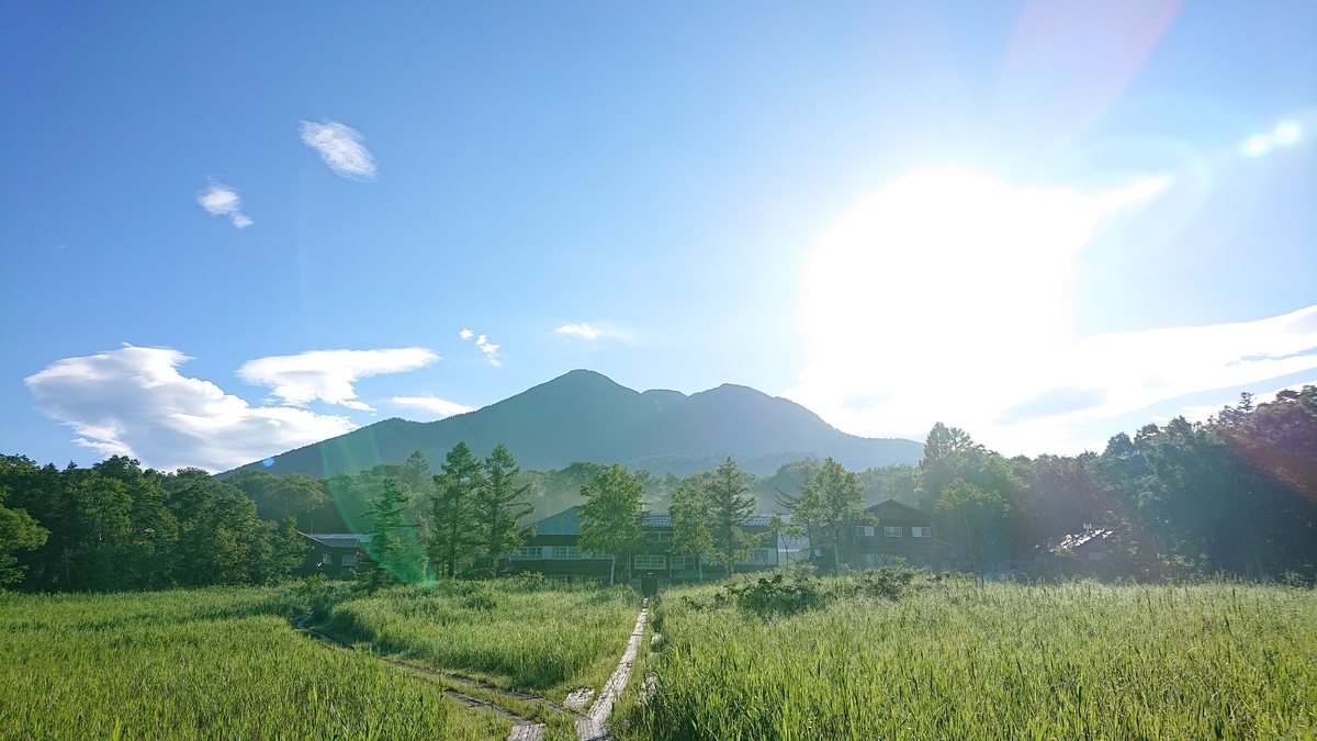 f:id:savannabatake13:20190813024528j:plain f:id:savannabatake13:20190813024528j:plain
