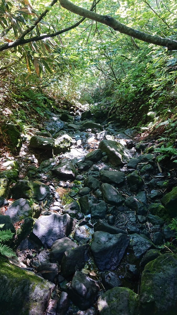 f:id:savannabatake13:20190813034146j:plain f:id:savannabatake13:20190813034146j:plain