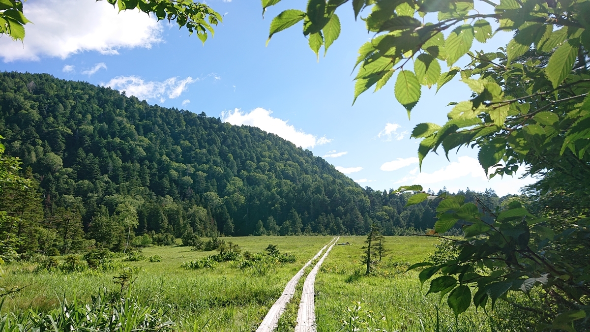 f:id:savannabatake13:20190813034212j:plain f:id:savannabatake13:20190813034212j:plain