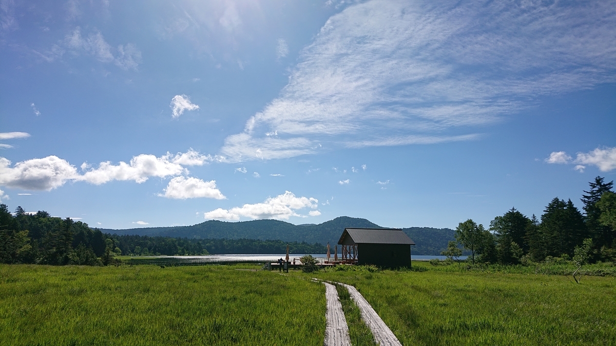 f:id:savannabatake13:20190813035415j:plain f:id:savannabatake13:20190813035415j:plain