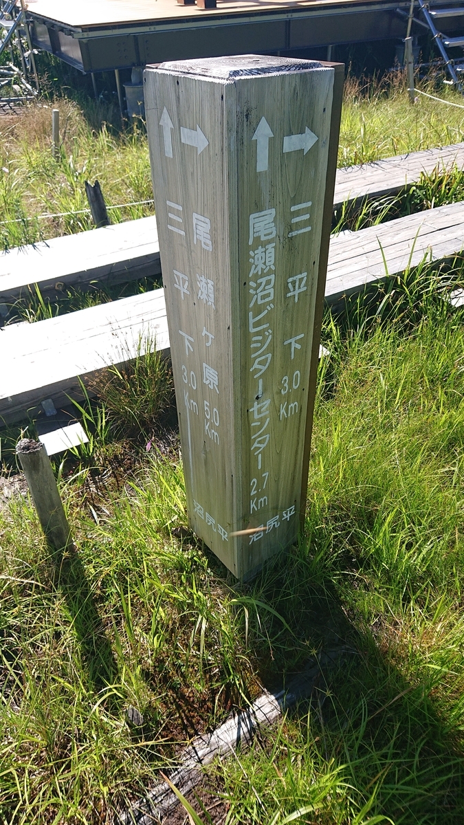 f:id:savannabatake13:20190813035642j:plain f:id:savannabatake13:20190813035642j:plain