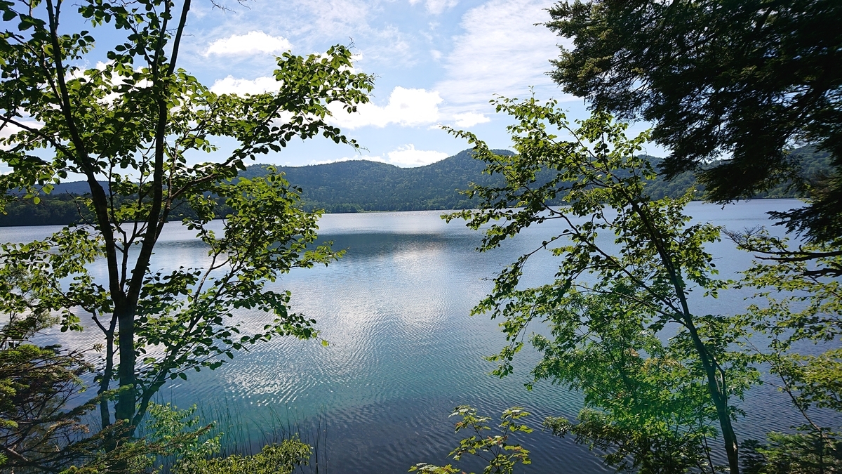 f:id:savannabatake13:20190813040046j:plain f:id:savannabatake13:20190813040046j:plain