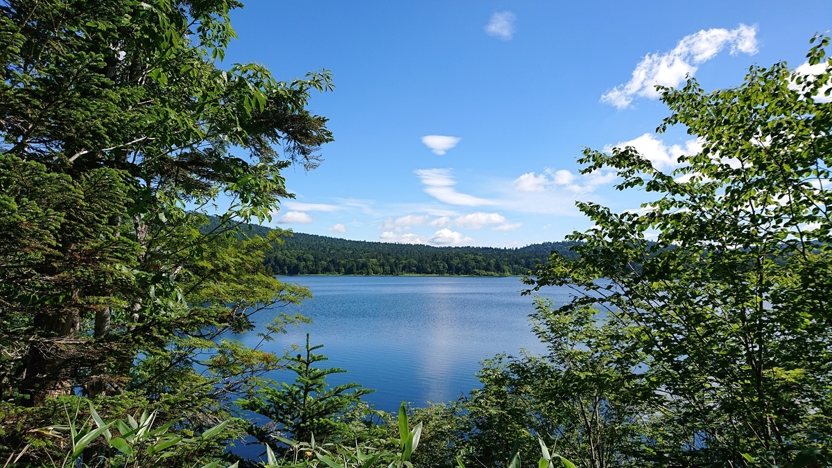f:id:savannabatake13:20190813040545j:plain f:id:savannabatake13:20190813040545j:plain
