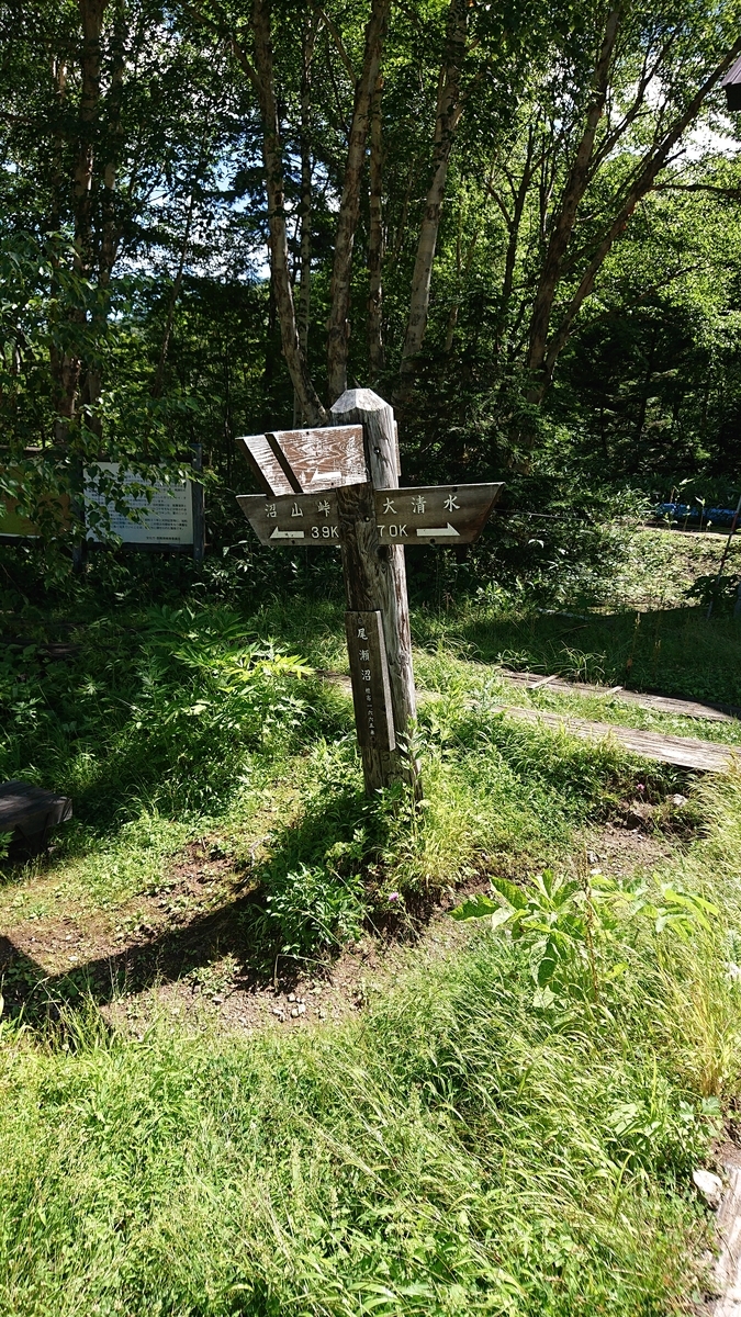 f:id:savannabatake13:20190813041058j:plain f:id:savannabatake13:20190813041058j:plain