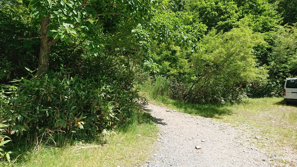 f:id:savannabatake13:20190813043131j:plain f:id:savannabatake13:20190813043131j:plain