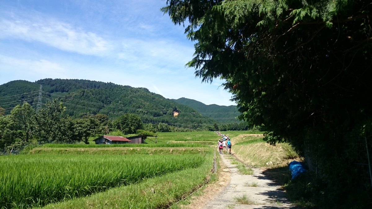 f:id:savarun:20190626223652j:plain