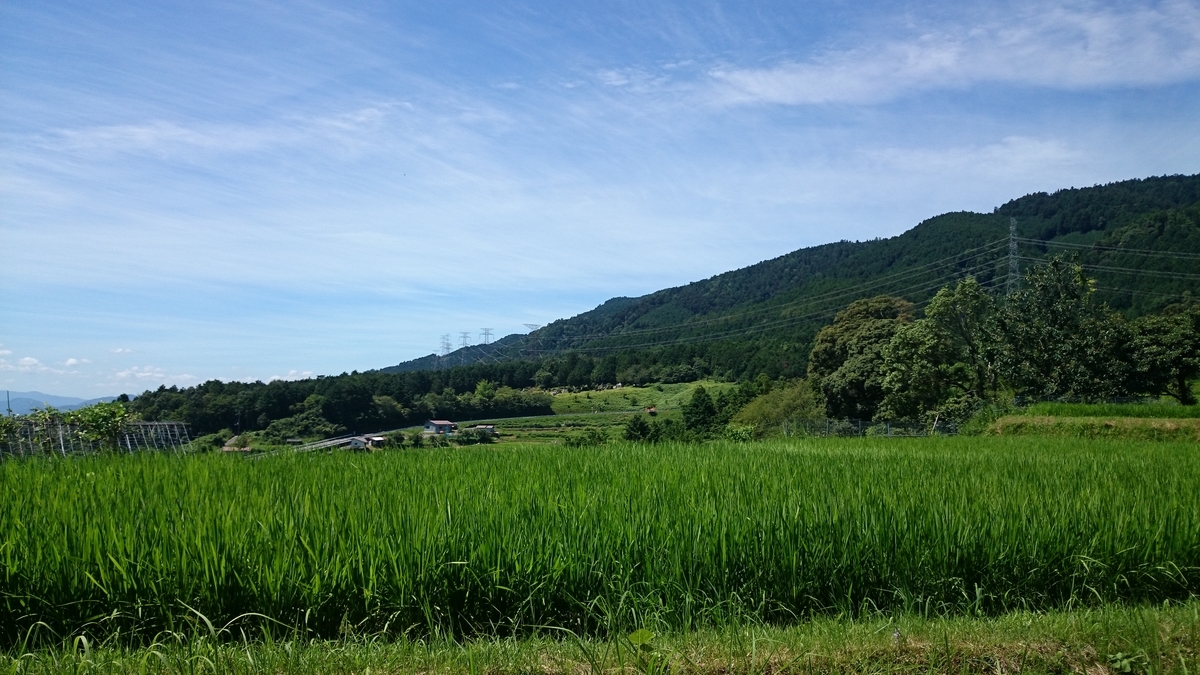f:id:savarun:20190626223742j:plain