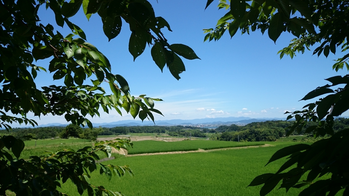 f:id:savarun:20190626224431j:plain