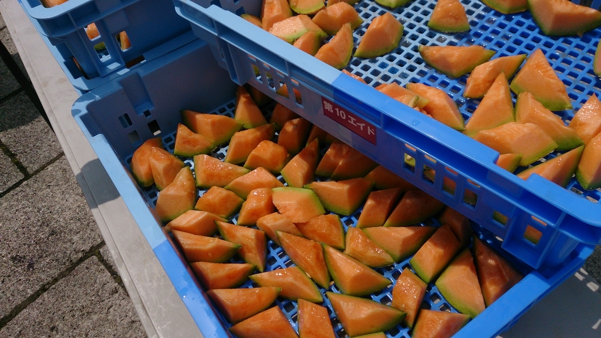 f:id:savarun:20190630202326j:plain
