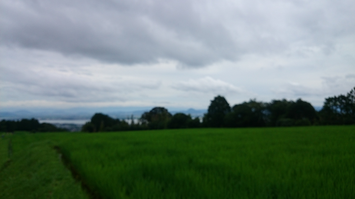 f:id:savarun:20190721234342j:plain f:id:savarun:20190721234342j:plain