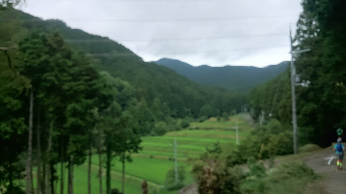 f:id:savarun:20190721234411j:plain f:id:savarun:20190721234411j:plain