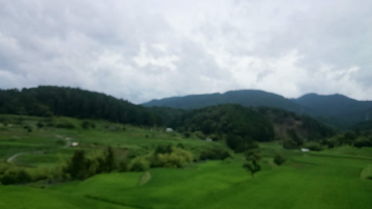 f:id:savarun:20190721235441j:plain f:id:savarun:20190721235441j:plain