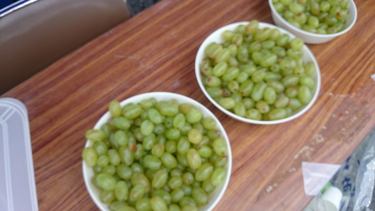 f:id:savarun:20190721235620j:plain f:id:savarun:20190721235620j:plain