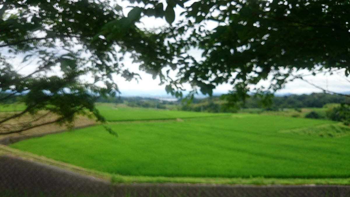 f:id:savarun:20190721235802j:plain f:id:savarun:20190721235802j:plain