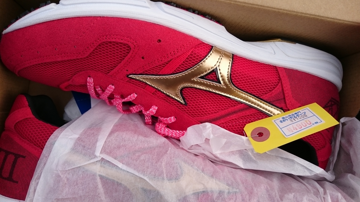 f:id:savarun:20190731193612j:plain