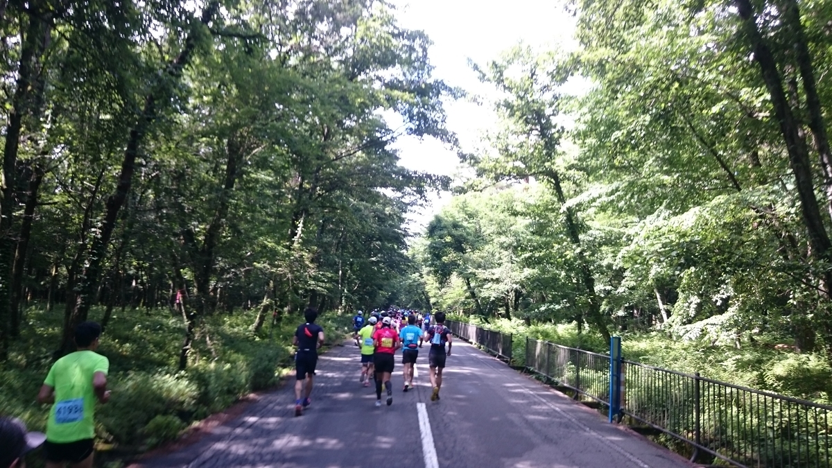 f:id:savarun:20190731195639j:plain