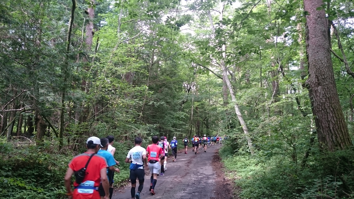 f:id:savarun:20190731195818j:plain