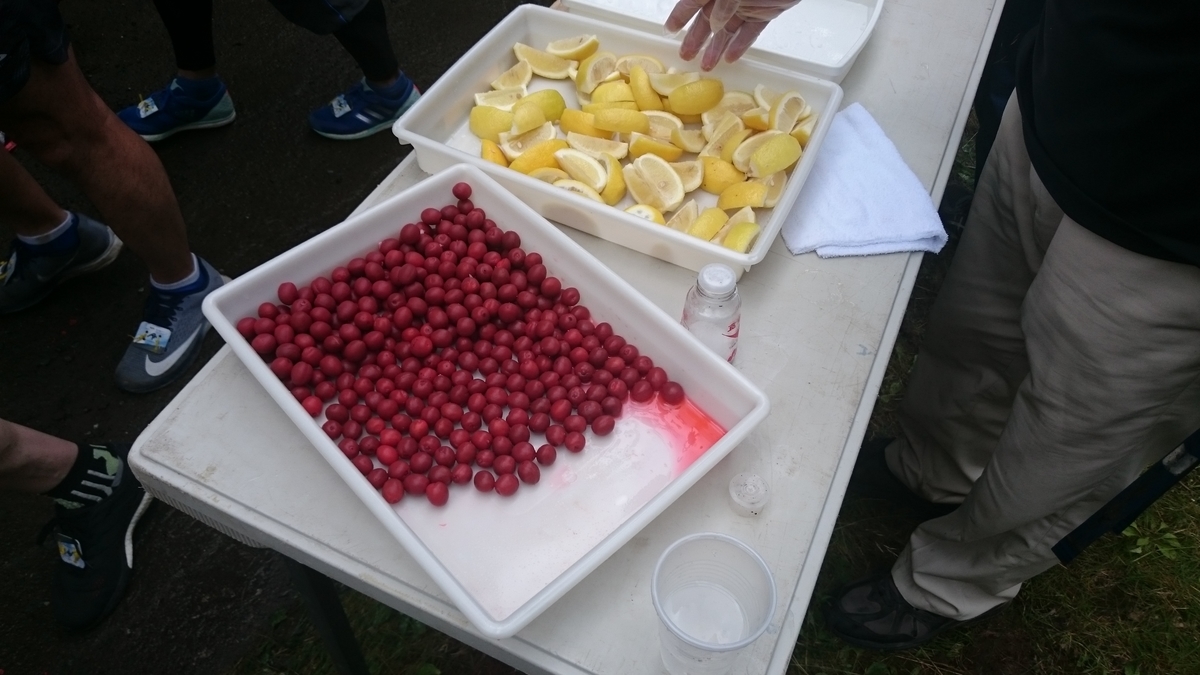 f:id:savarun:20190731200102j:plain